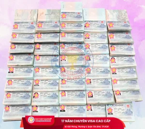 Giới thiệu 29 VisaTopTen