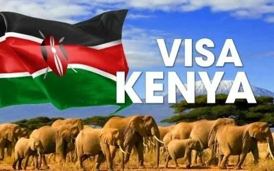 Dịch vụ làm visa Kenya tỷ lệ đậu 95% tại Top Ten Visa 2 Phân tích chuyên sâu các loại hình trong dịch vụ làm visa Kenya