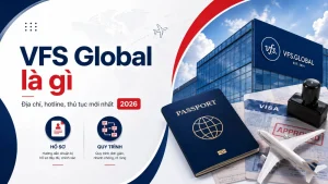 Vfs Global