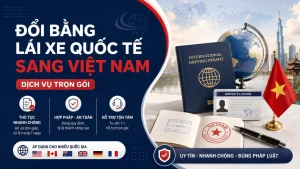 Dịch Vụ Đổi Bằng Lái Xe Quốc Tế Sang Việt Nam Trọn Gói
