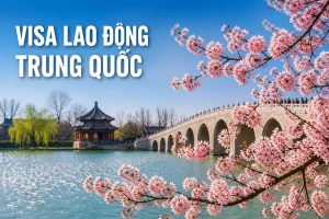 Visa Lao Động Trung Quốc 2026: Visa Z, Hồ Sơ Và Thủ Tục 6 Visa Lao Động Trung Quốc
